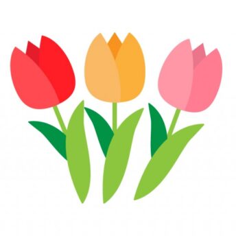 大きくなったお祝い会🌝🌸